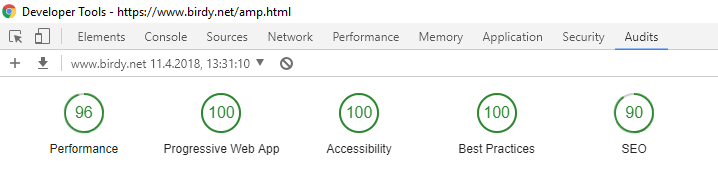 Birdy.net Lighthouse Audit Resultat
