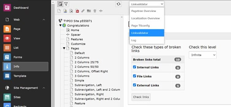 Linkvalidator im Infomodul von TYPO3