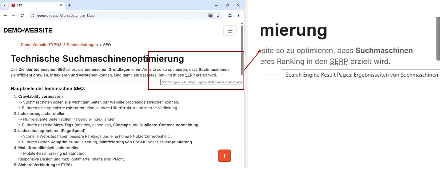Tooltip-Begriffe werden im Frontend
