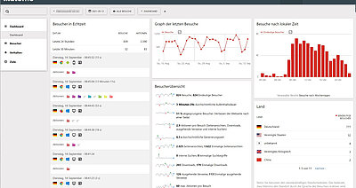 Screenshot Matomo Dashboard