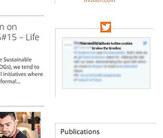 Milchglaseffekt bei deaktiviertem Cookie