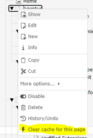 Seitencache in TYPO3 löschen