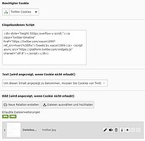 Infos zur Cookie-Einbindung im TYPO3-Backend
