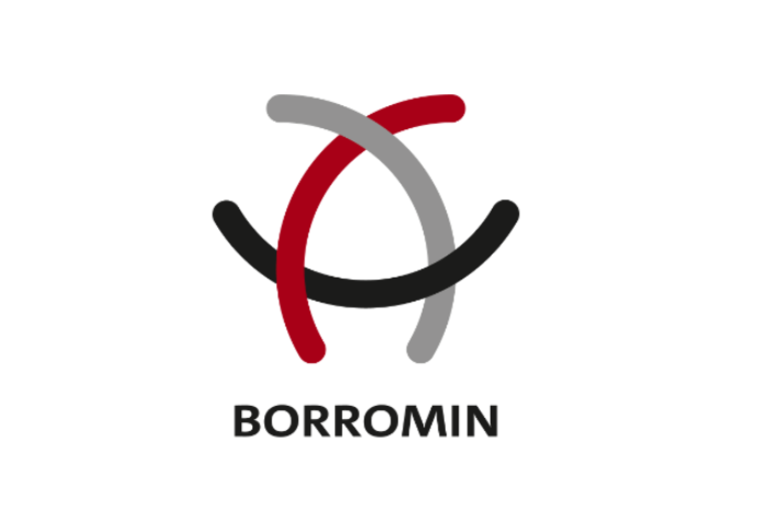 Logo Borromin
