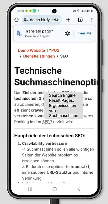 Mobile Darstellung