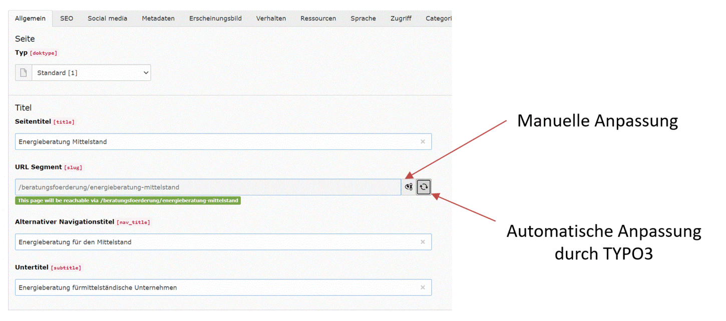 Slugs in TYPO3 festlegen