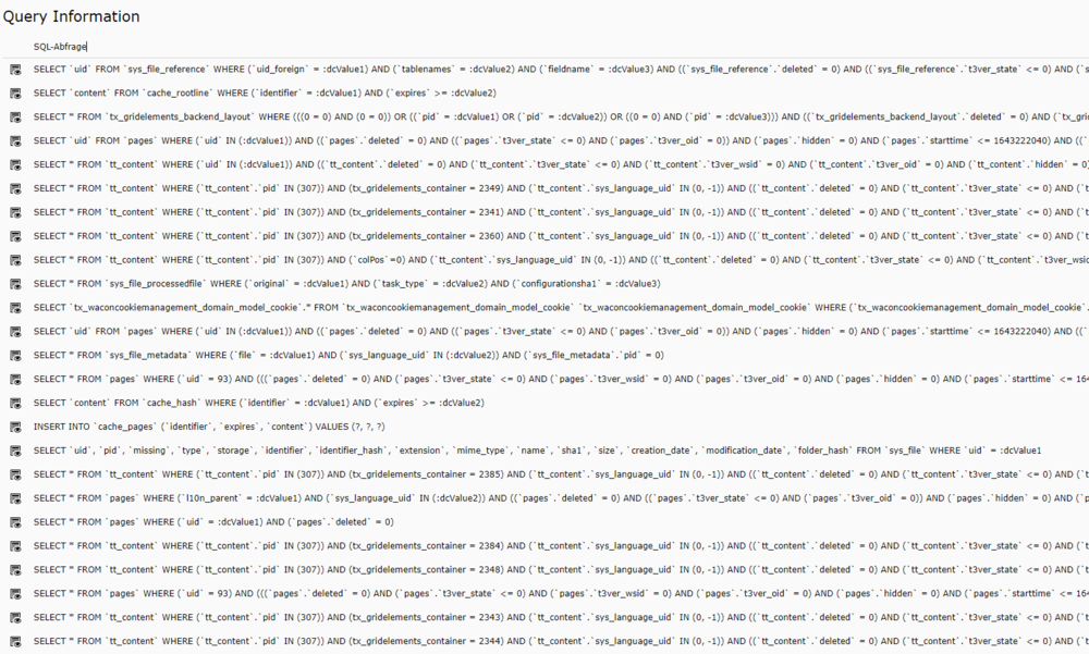 Datenbank-Abfragen durch Seitenaufruf ohne Cache (laut Admin-Panel)