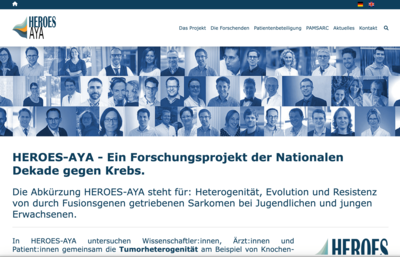 Screenshot Homepage heroes-aya.de