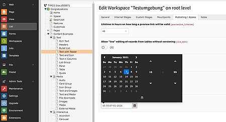 Zeitstempel zur Veröffentlichung setzen