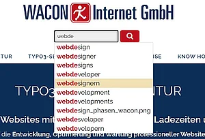 Mehr Website-Komfort mit SOLR