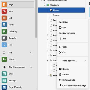 Kontextmenü für Seiten im TYPO3 Seitenbaum