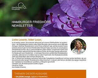 Newsletterbeispiel der Hamburger Friedhöfe