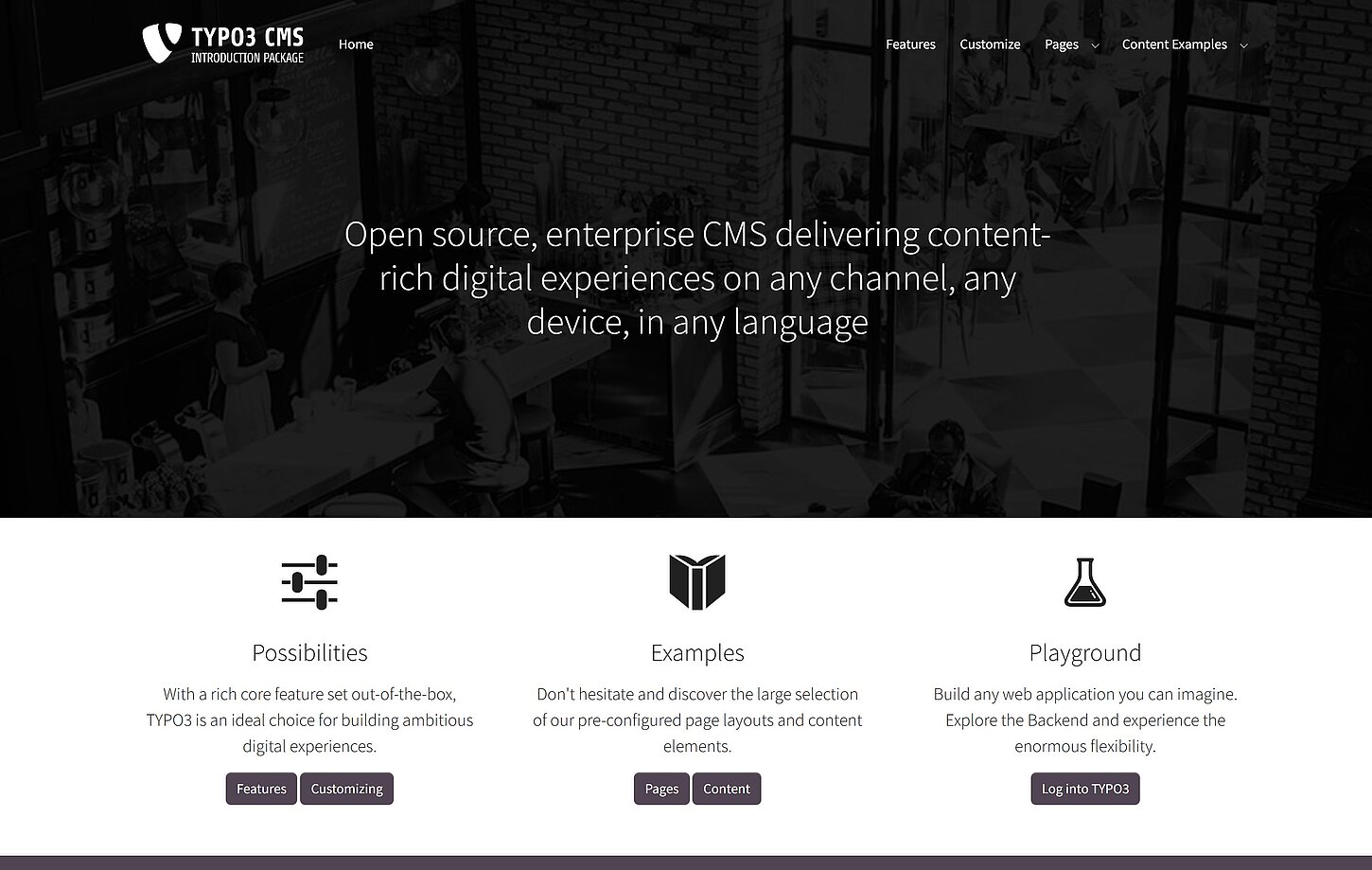 Screenshot Beispielwebsite Introduction Package