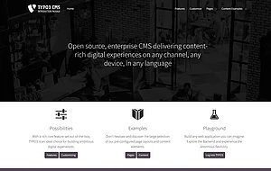 Professionelle Websites zum kleinen Preis